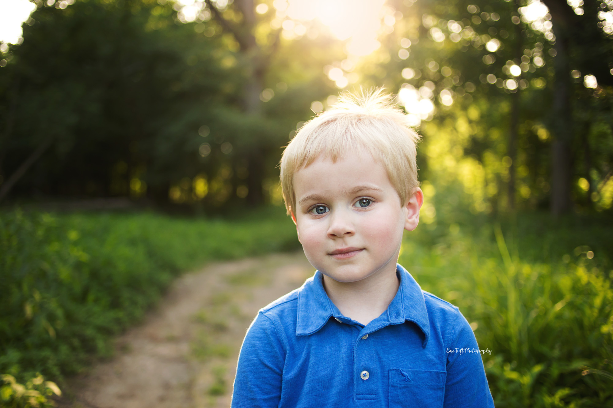 Young boy in blue standing in a forest. Midland, Michigan photographer