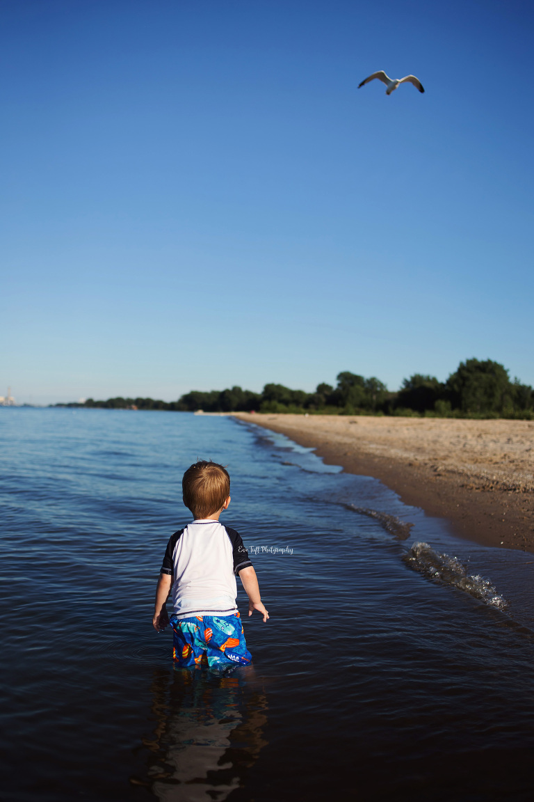 small child watching a bird flying at the beach | Midland Michigan photographer
