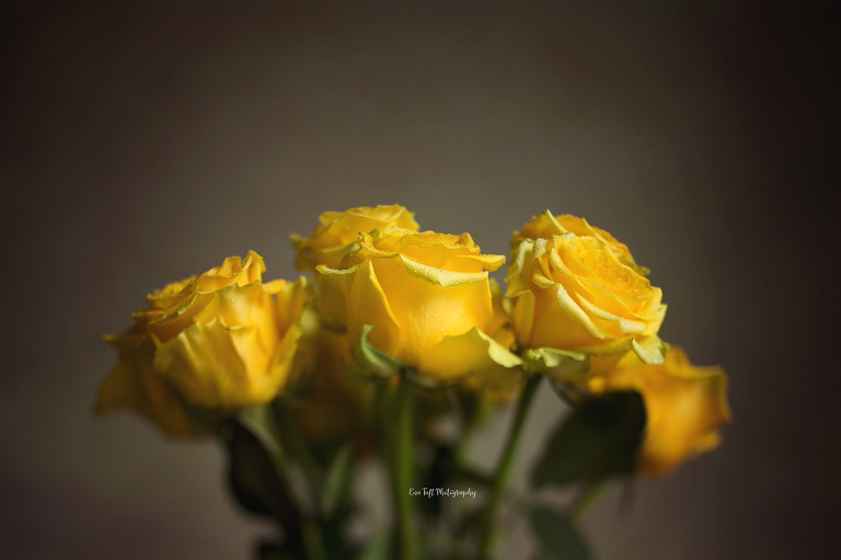 Bouquet of yellow roses for mother's day. | Midland, Michigan photographer