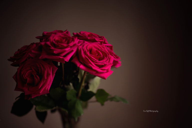 Freelensed bouquet or red roses | Michigan senior photographer