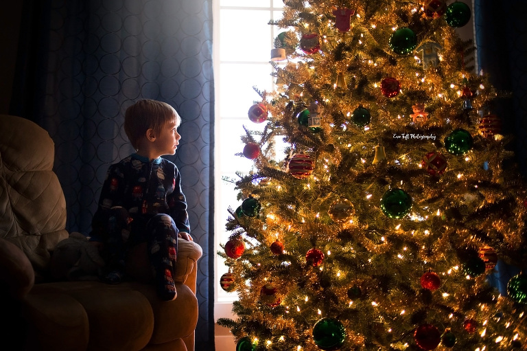 Young toddler sits on a chair while staring at the Christmas tree inside | Eve Tuft Photography