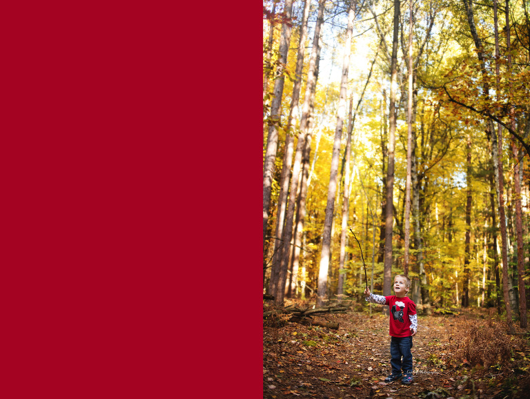 A small boy holds a stick up in the forest in the fall | Senior Photographer in Midland, Michigan